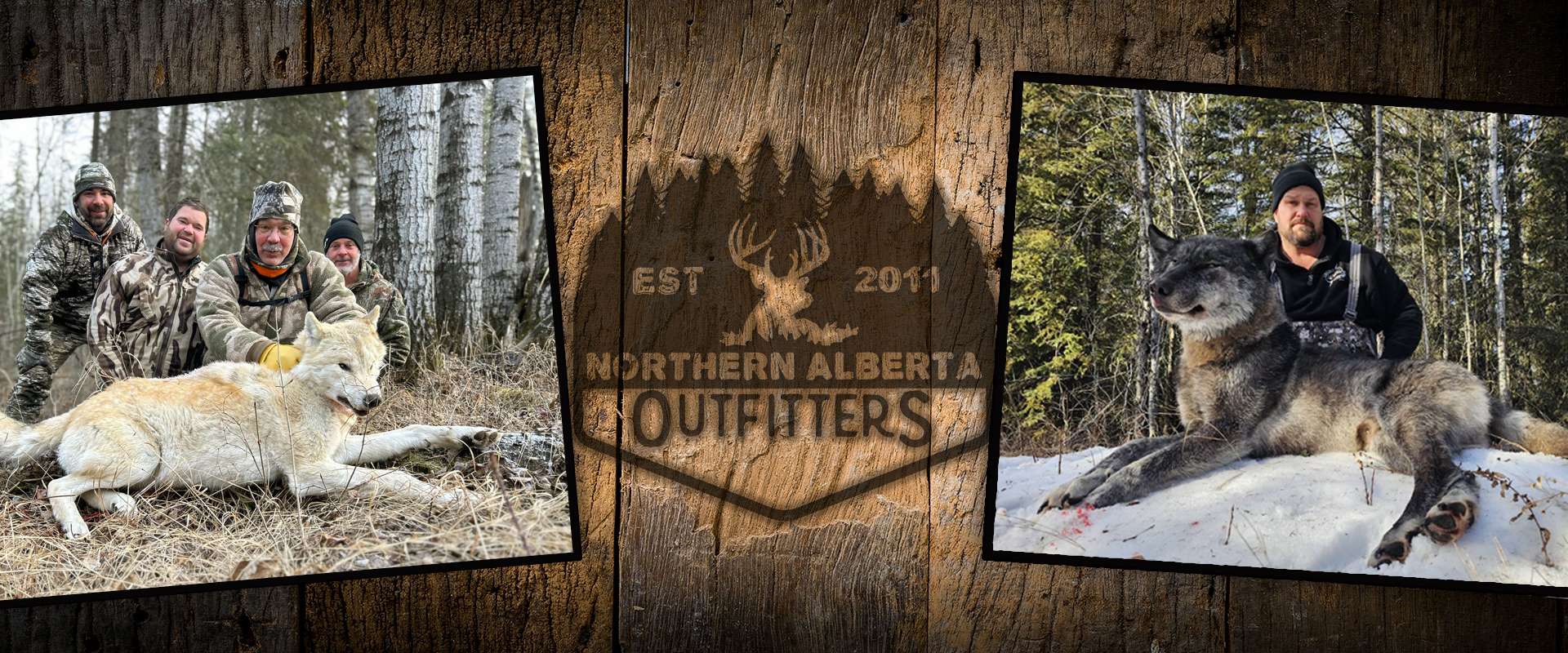 Moose big game hunting packages — Northern Alberta Outfitters – Northern Alberta Outfitters