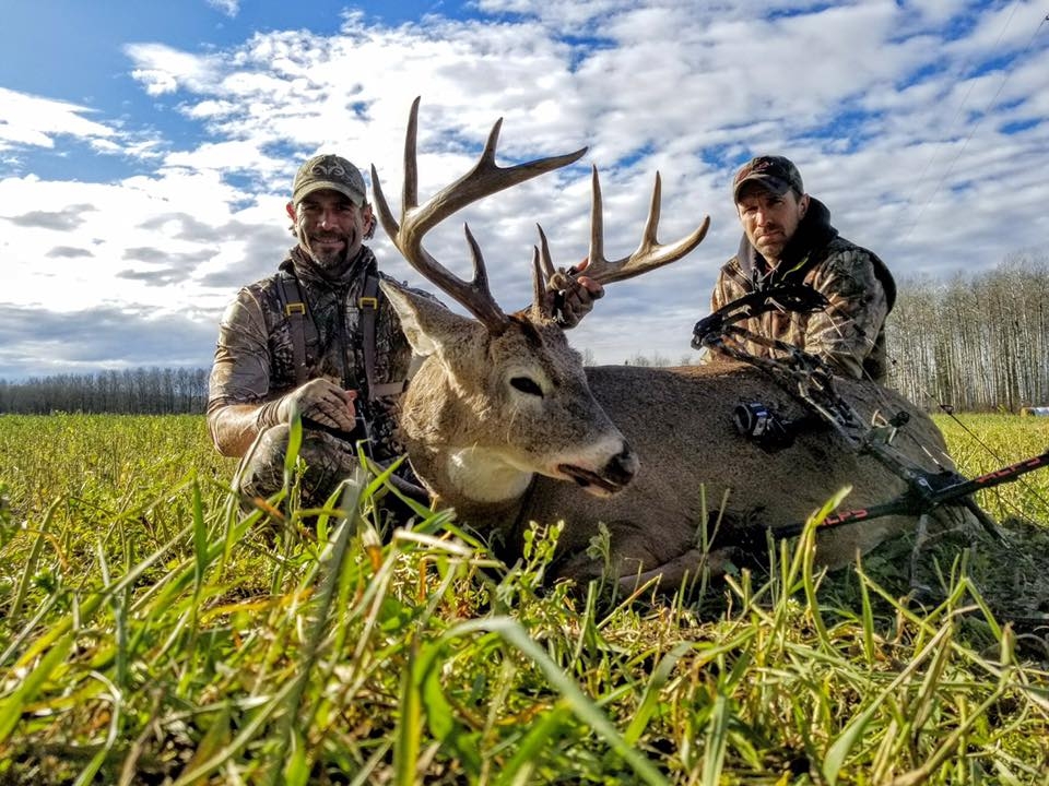 Whitetail Hunts Alberta